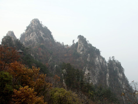 伏牛山老界岭景区风光