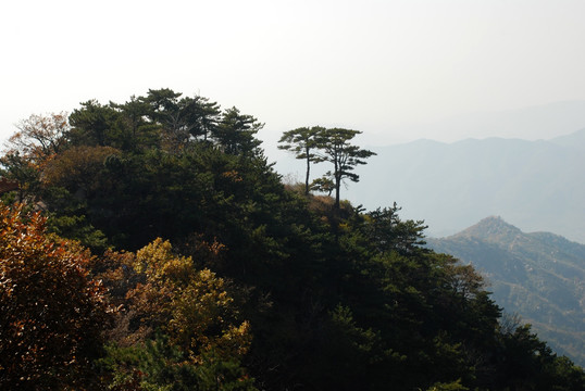 盘山 山脉 远山 植被 秋景