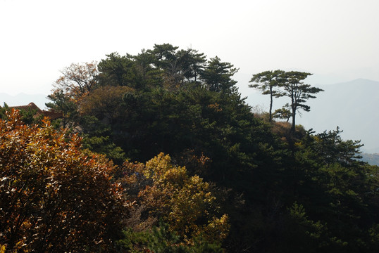 盘山 山脉 植被 天空 秋景