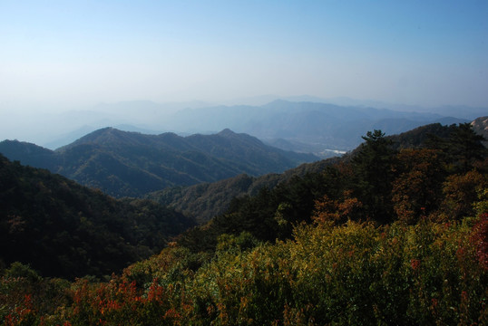 盘山 山脉 远山 植被 秋景