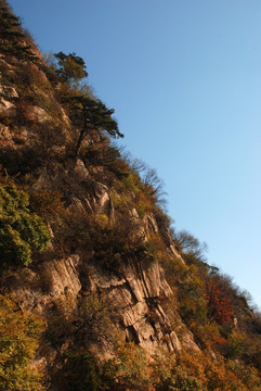 盘山 山脉 植被 天空 秋景