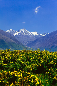 岗什卡雪峰