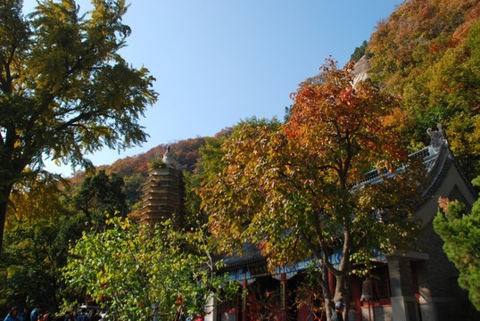 舍利塔 盘山  建筑 古建筑