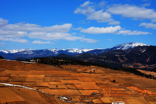 香格里拉