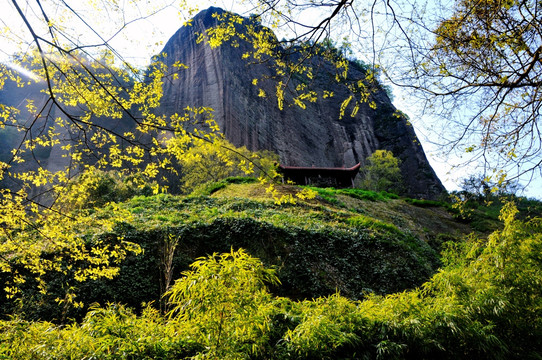 武夷山风光