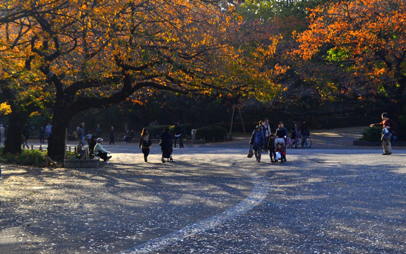 日本上野公园