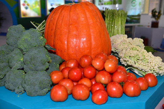 有机蔬菜 有机西红柿 巨型蔬菜