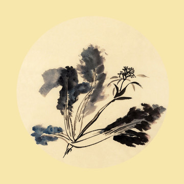 水墨國畫白菜