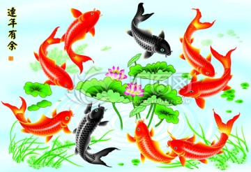 連年有余 鯉魚