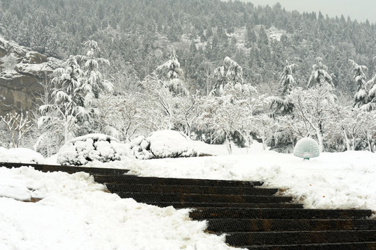 冬天雪景