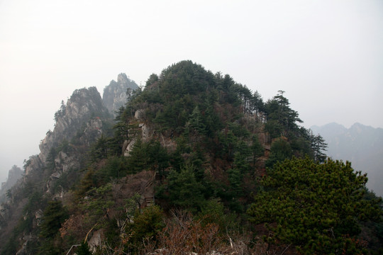 伏牛山老界岭景区风光