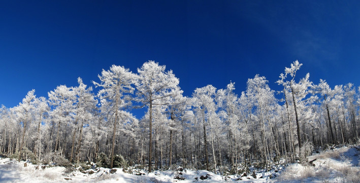 林海雪原