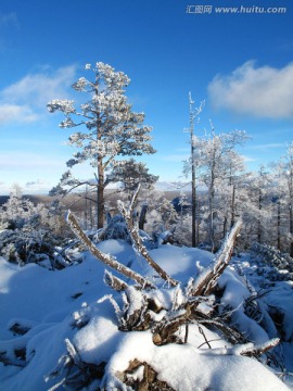 林海雪原