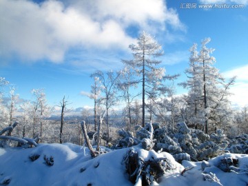 林海雪原