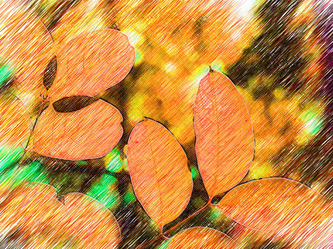 紅葉 葉子素材 裝飾畫(huà)