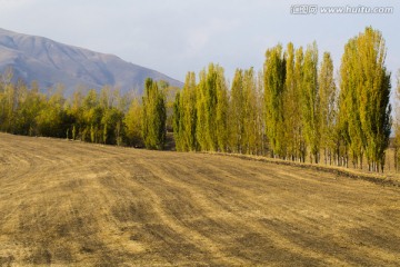 田地