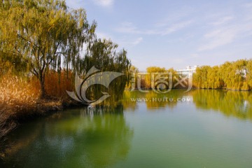 湖景秋色