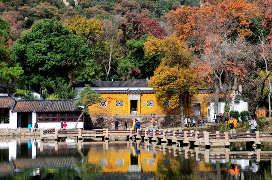 苏州天平山红叶