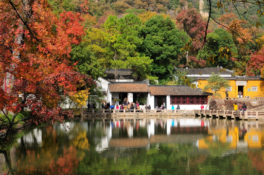 苏州天平山红叶