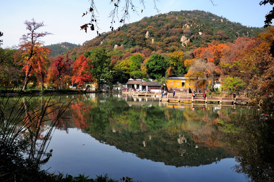 苏州天平山红叶