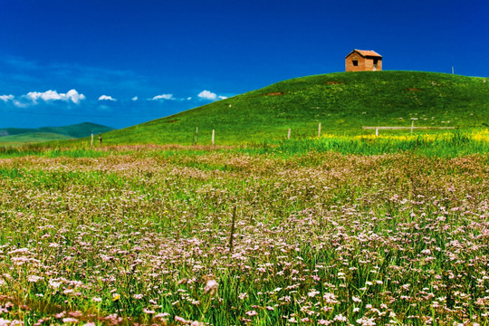 旷野的小屋