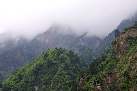 九峰山云海