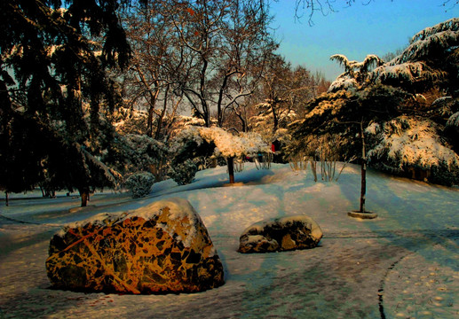 雪后寂静校园