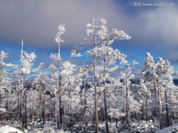 林海雪原