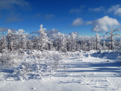 林海雪原