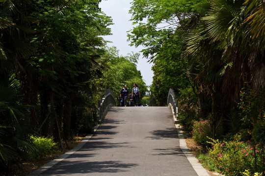 崇明岛 东平国家森林公园 户外