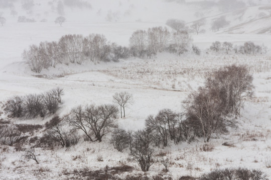 冬日雪原 暴风雪 下雪