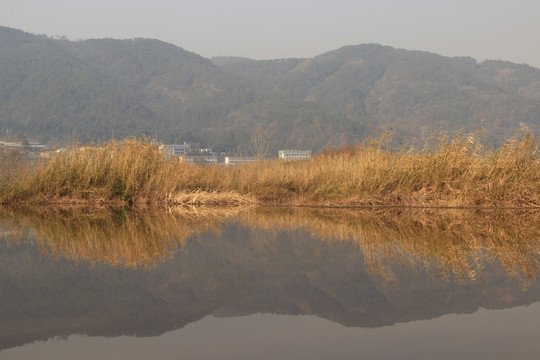 邛海湿地