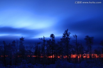 森林冬夜