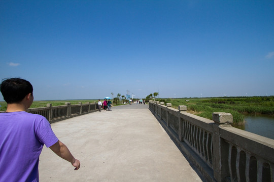 崇明东滩湿地公园 蓝天 道路