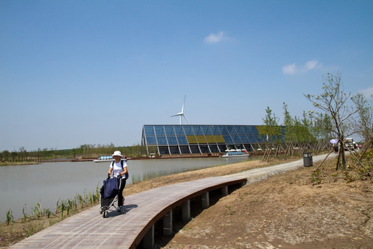 崇明东滩湿地公园 蓝天 道路