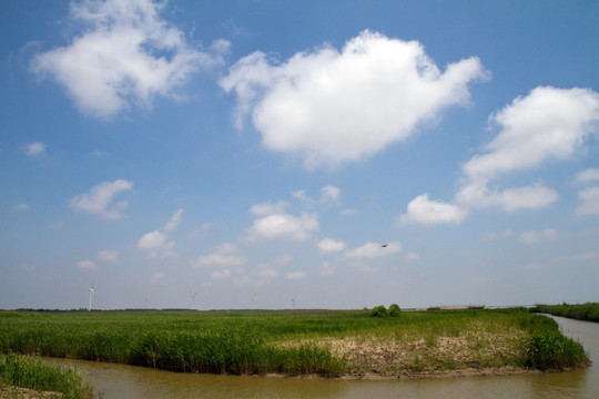 崇明东滩湿地公园 蓝天 河道