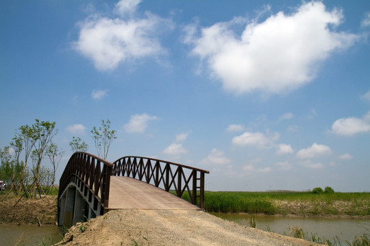 崇明东滩湿地公园 蓝天 道路