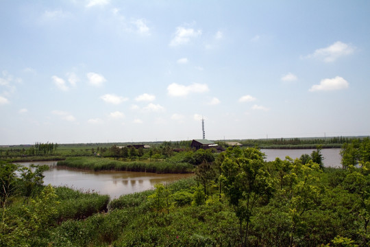 崇明东滩湿地公园 蓝天 道路