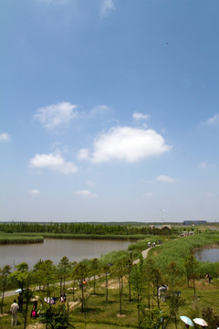 崇明东滩湿地公园 蓝天 道路