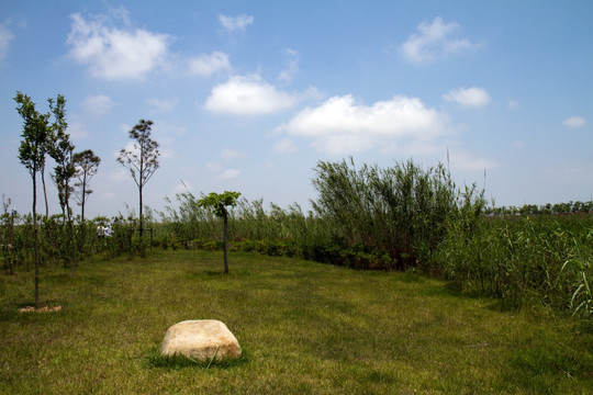 崇明东滩湿地公园 蓝天 山坡