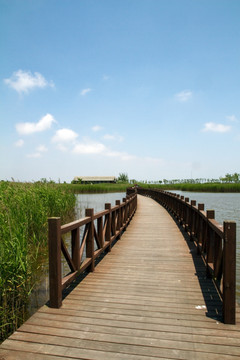 崇明东滩湿地公园 蓝天 道路