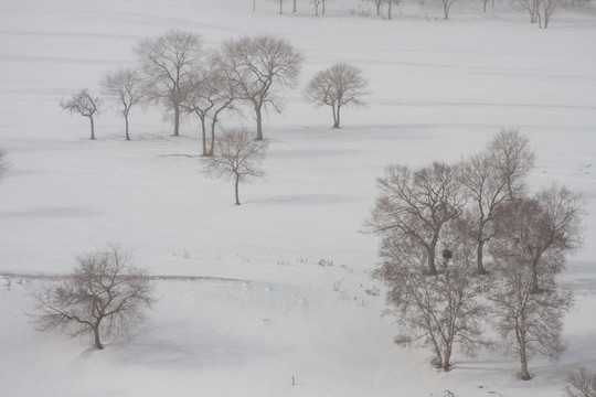 冬日雪原 暴风雪 下雪