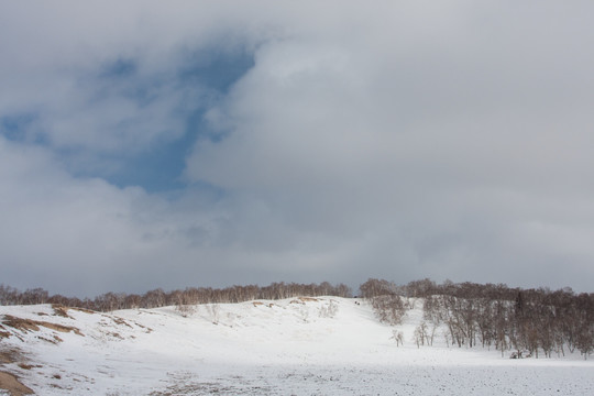 冬日雪原 山坡 山岗 白桦林