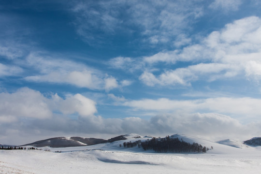冬日雪原 白桦林 蓝天白云