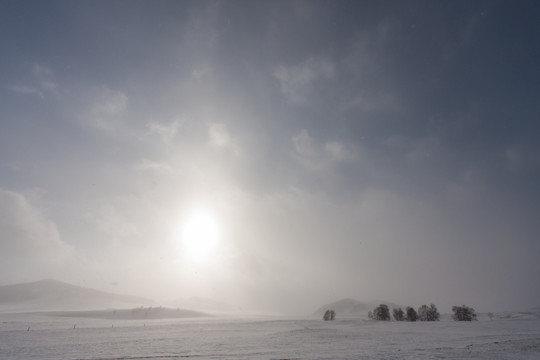 冬日雪原 暴风雪 白桦树 太阳