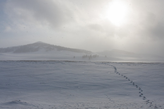 冬日雪原 暴风雪 丘陵 太阳