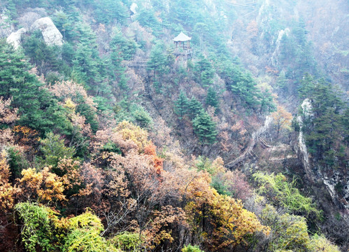 伏牛山老界岭秋季风光