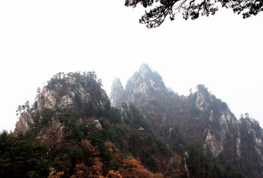 伏牛山老界岭景区风景