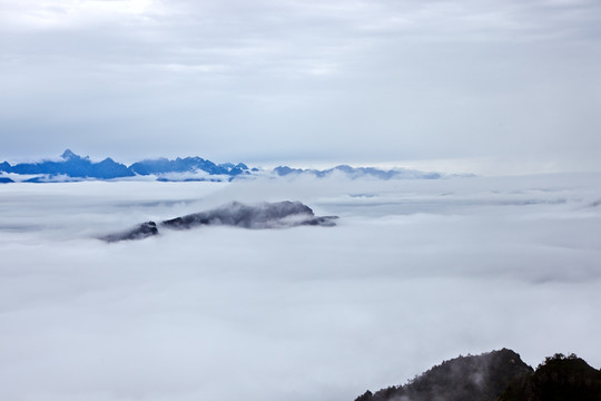 云海 青山