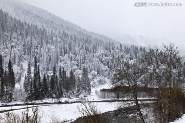 原始森林